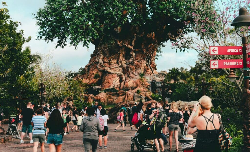 Animal Kingdom, one of the best Disney theme parks in Orlando.