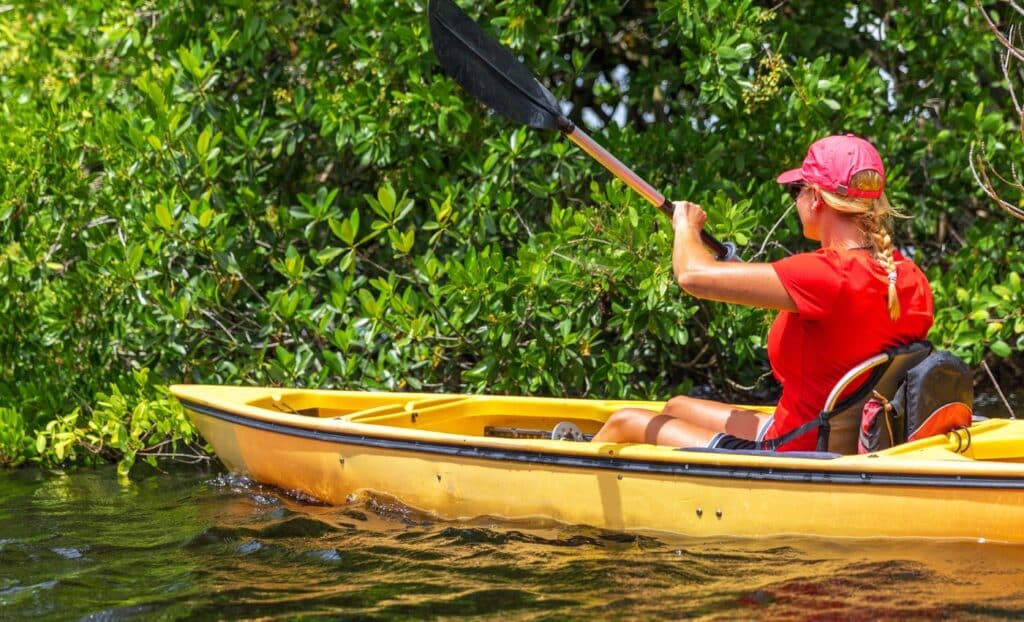 Canoeing in the mangroves
