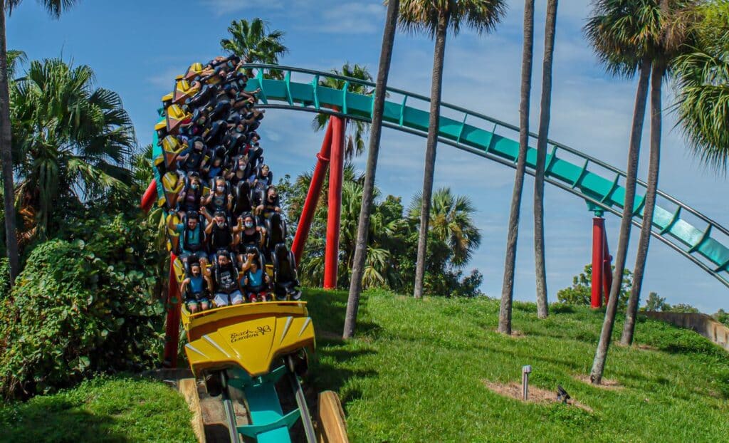 Busch Gardens Kumba roller coaster.