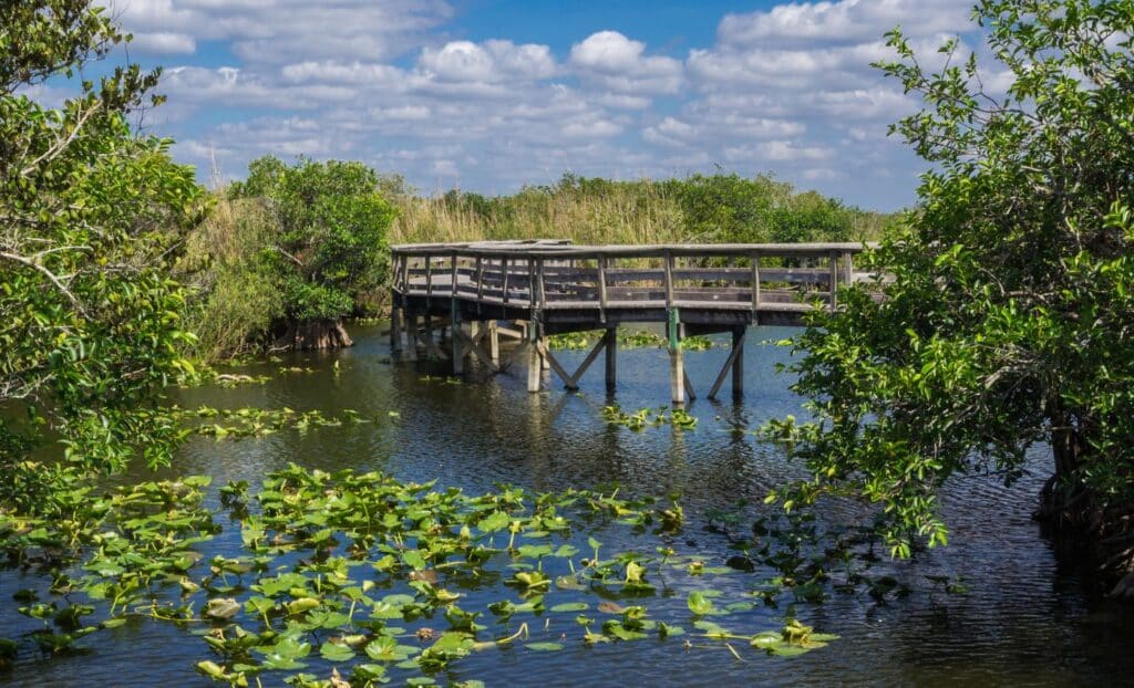 Parque Nacional de Everglades