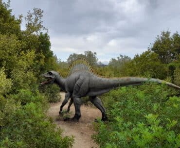 Los mejores parques de Universal Studios en Orlando
