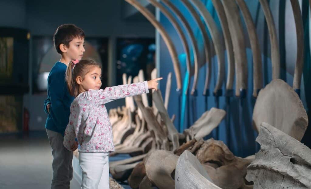 Museus em Fort Lauderdale - Museu Discovery and Science