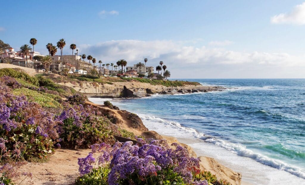 La Jolla é uma das áreas à beira-mar mais bonitas da Califórnia
