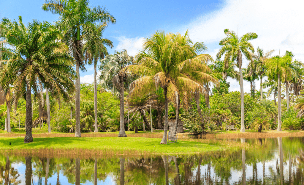 Cosas para hacer en Tropical Park en Florida