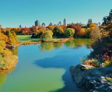 Visita los mejores lugares en Central Park