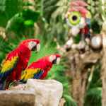 Ecoturismo