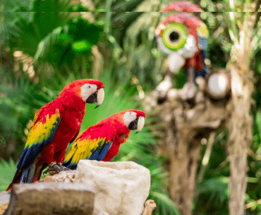 Ecoturismo