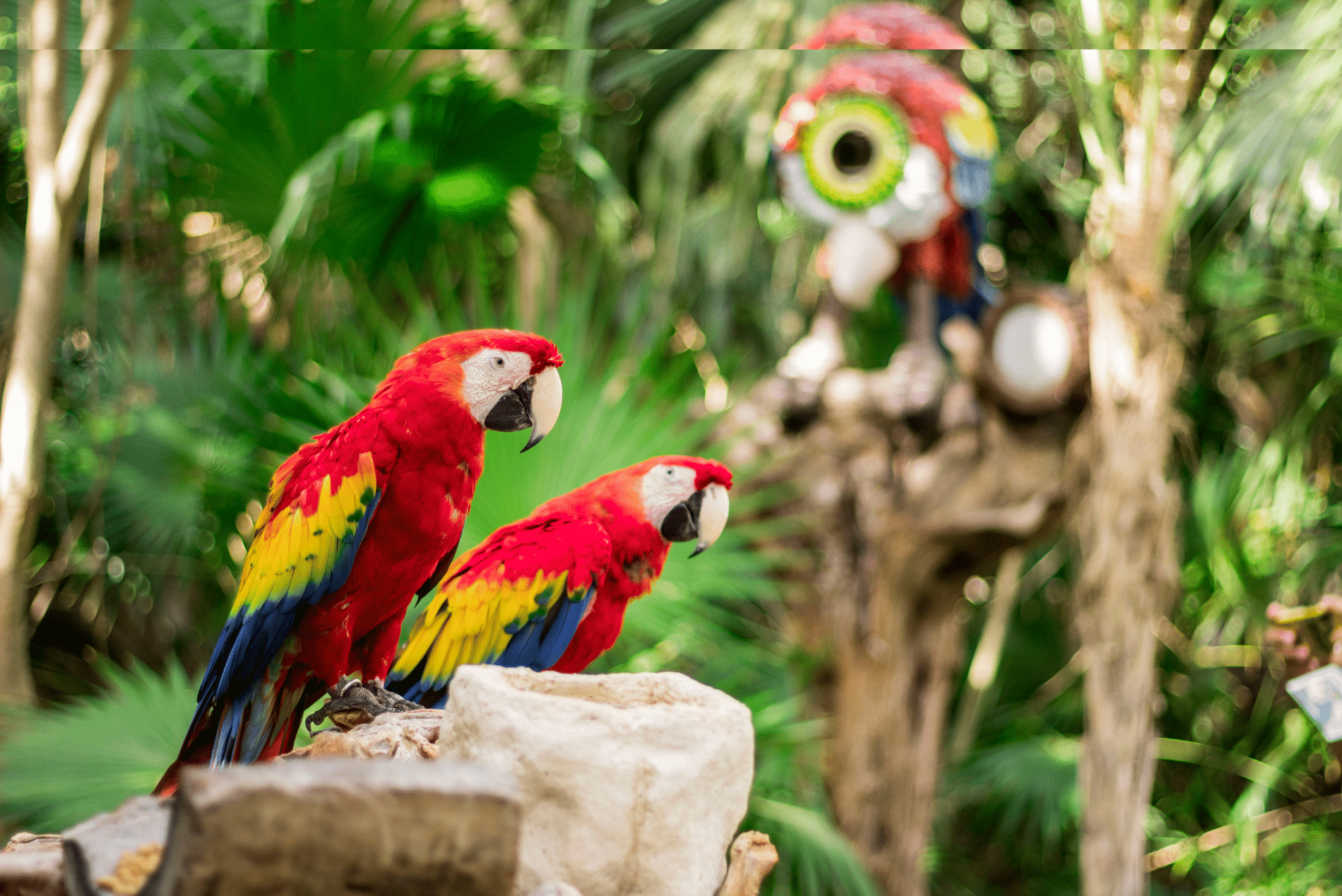Ecoturismo
